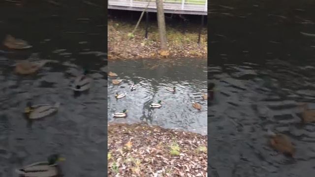 Метро Дмитрия донского//Москва смотреть онлайн