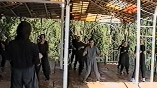 СЕМИНАРЫ ВИН ЧУН в ГУРЗУФЕ - КРЫМ 1996г. смотреть онлайн