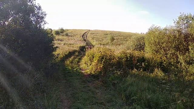 лиса выруливает (10 лет) первое лето на мотоцикле смотреть онлайн