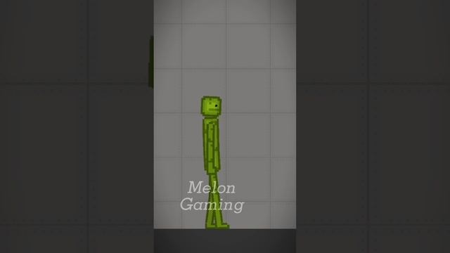 Roblox In Melon Playground #shorts смотреть онлайн