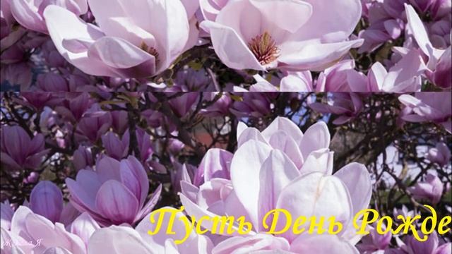 Любимую Невесточку с Днём Рождения! смотреть онлайн