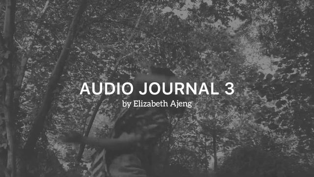 AUDIO JOURNAL 3 - PUBLIC SPEAKING смотреть онлайн