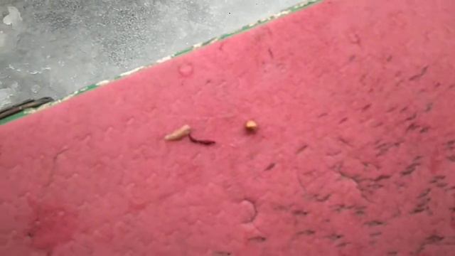 Хороший голавль на "калужскую" оснастку. смотреть онлайн