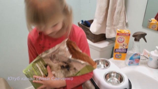 Домашние животные в многодетной семье. Жизнь в США. Семья Савченко смотреть онлайн