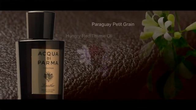 Acqua di Parma Ingredient Collection смотреть онлайн