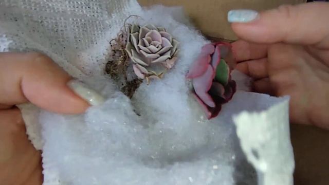 Посылка из Севастополя 💜Названия в описании. смотреть онлайн