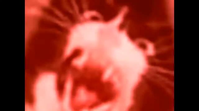 When Madao upload video not about SuperMechs смотреть онлайн