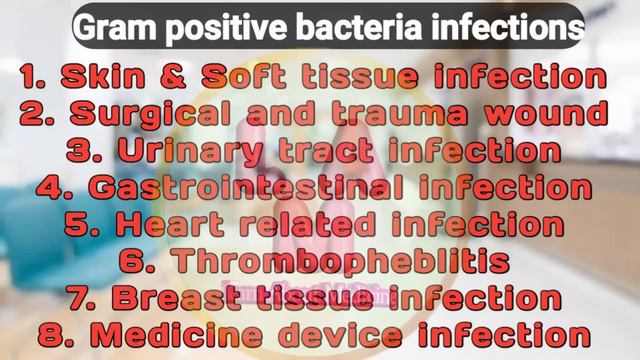 Gram positive and gram negative bacteria |gram positive vs gram negative bacteria in hindi смотреть онлайн