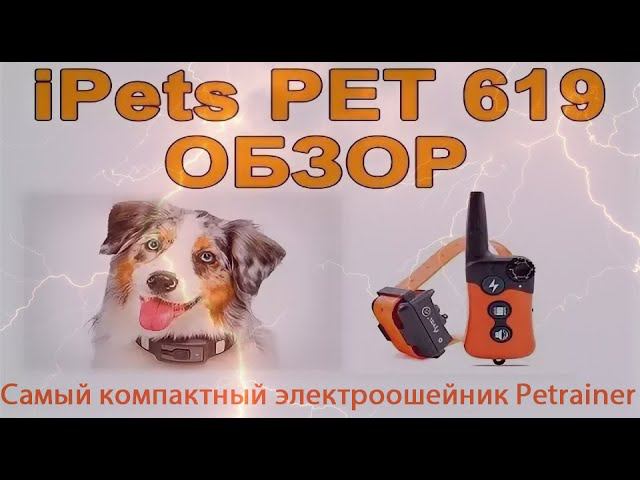 Полный обзор электронного ошейника iPets PET 619 | Amazin.su смотреть онлайн