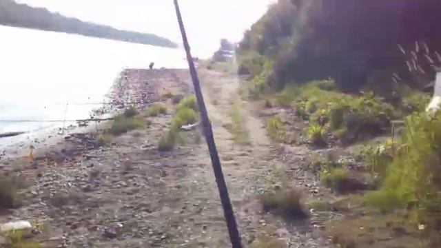 Спиннинг и катушки