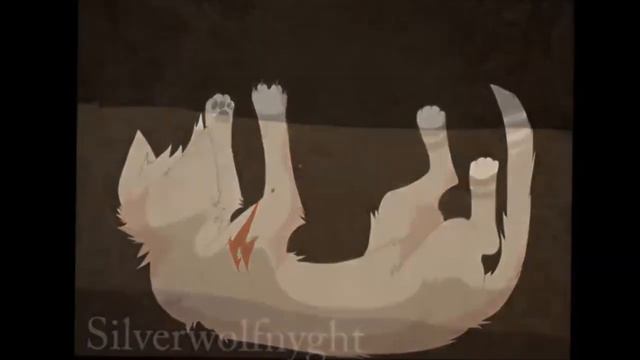 ~Мини-клип~Коты воители~Грач и Ласточка~Крылья~Спасибо за почти 90 Ежевичек!~