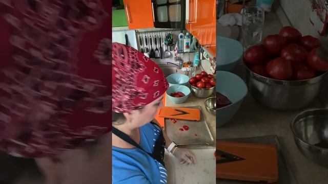 Делаем фрипсы из помидоров смотреть онлайн