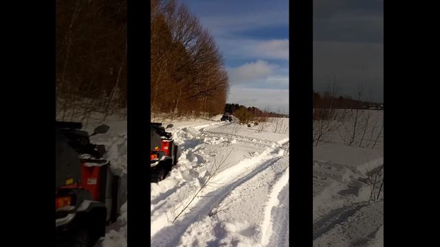 КАРАПУЛЬКА про ГУСЯНКИ . смотреть онлайн