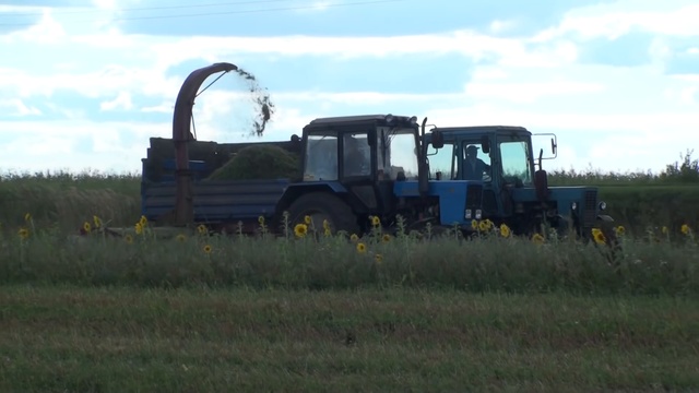 МТЗ 80,82.1, STERH 2000  уборка силоса.