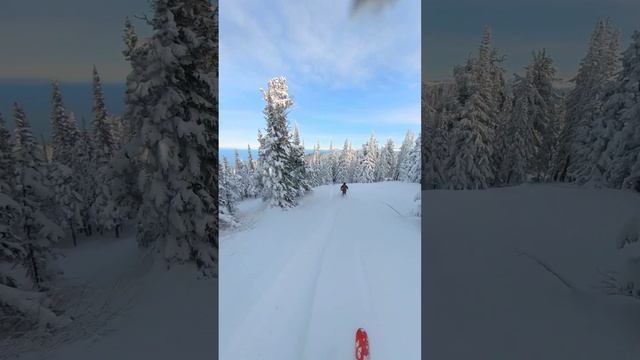 открытие сезона. 05.11.2023, Хамар-Дабан, г. Травянистая#1 смотреть онлайн