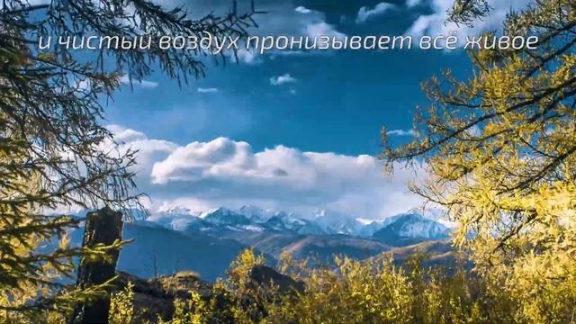 Йога-тур на Алтай смотреть онлайн