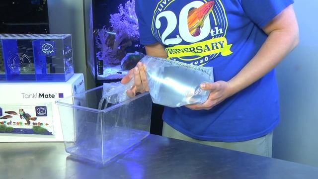 LiveAquaria® W.T.F. (What the Fish) Series:Salinity Acclimation & Adjustment for Marine Aquatic Lif смотреть онлайн