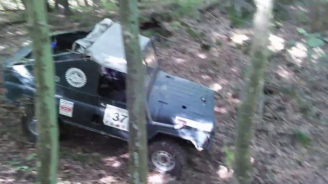 Светлогорский лес!