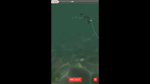 Fish After Fish Frenzy | Rapala Fishing - Daily Catch смотреть онлайн