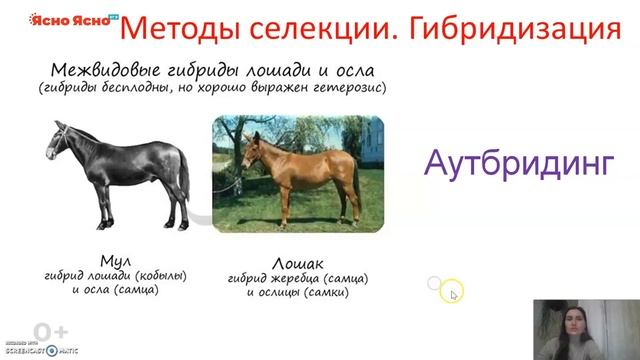 ЕГЭ по биологии 2021 | Методы генетики человека | Методы селекции | Задание №1 и №22 ЕГЭ по биологи смотреть онлайн