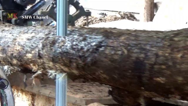 Penggergajian kayu termahal di pulau jawa !! jadi kepercayaan konsumen se asia смотреть онлайн