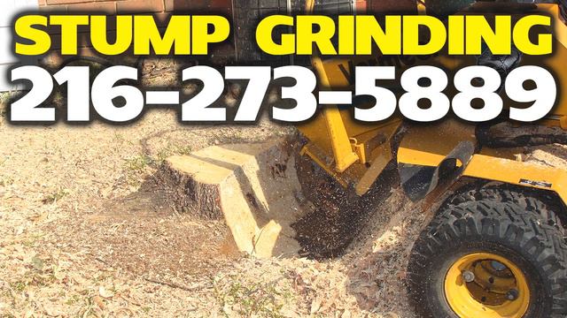 STUMP GRINDING MEDINA OHIO | STUMP GRINDING IN MEDINA OHIO | (216) 273-5889 смотреть онлайн