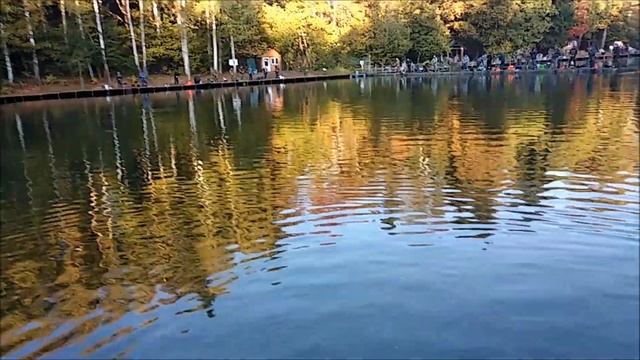 Форель ломает крючки, отрывает приманки!!! После первого запуска ЖАРА! Клёвое место смотреть онлайн