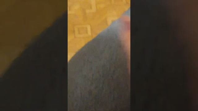 Викин маникюр готов! смотреть онлайн
