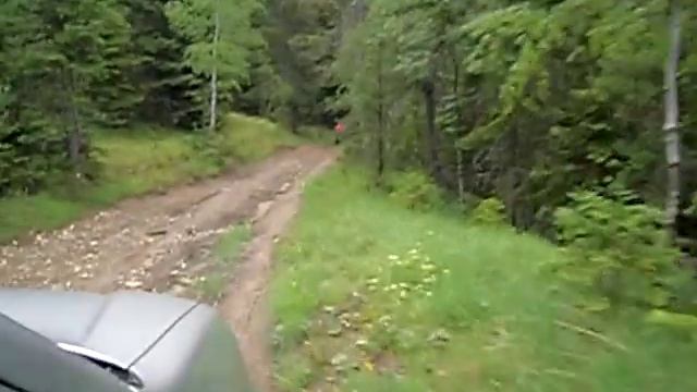 RANDO HONDA CRV HRV 1 смотреть онлайн