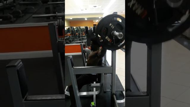 Back workout from PJ смотреть онлайн