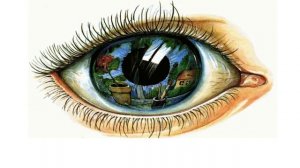 Тема 22. Органы чувств человека. Глаз — орган зрения