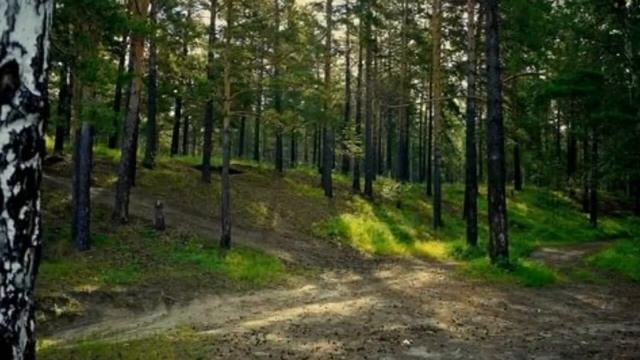 Ритуал от глазливых людей смотреть онлайн