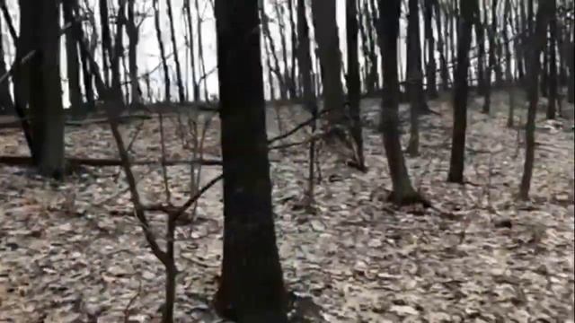 ЕСТЬ СЕРЕБРО !! коп по оврагам смотреть онлайн