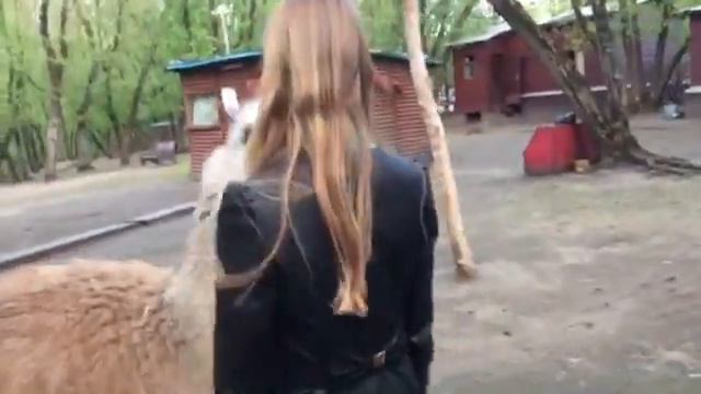 EXISTAGRAM Настя Эйприл и Лама играют в прятки смотреть онлайн