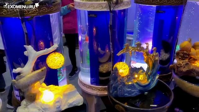 Необычные аквариумы на выставке CIPS 2019 в Китае