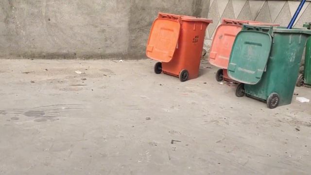 Rescued the puppy next to the trash can, the vigilance is high, it eats dog food for the first time смотреть онлайн