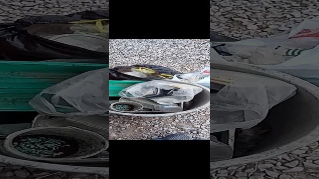 пропластик