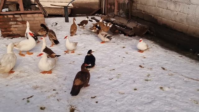 19 февраля 2023 г. смотреть онлайн