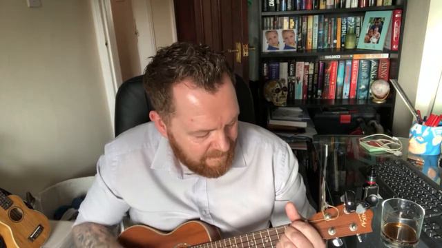 Foo Fighters - Times Like These (ukulele cover) смотреть онлайн