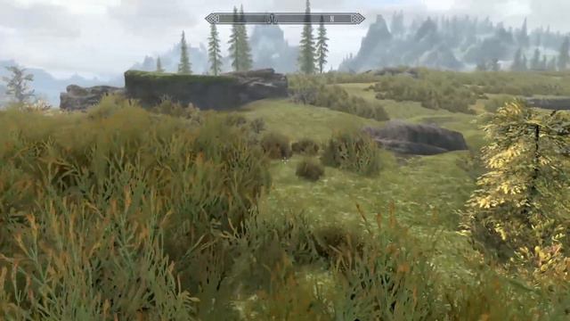 SKYRIM MODS COFFEE REVIEWS A Greener Skyrim смотреть онлайн