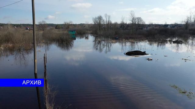 В Гомельской области талыми водами подтоплено более 10 участков дорог смотреть онлайн