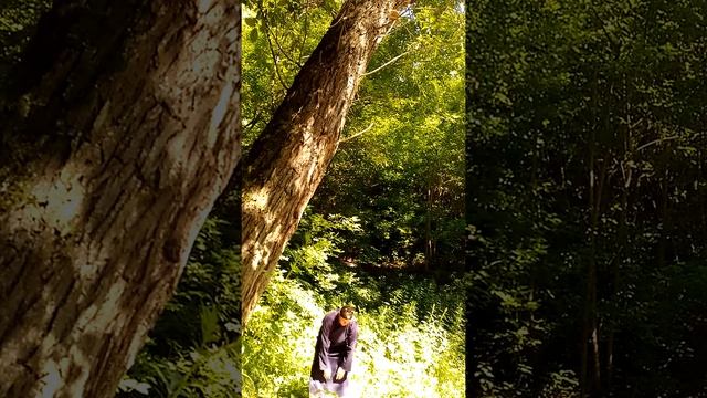 Хунь юань нэй гун. У цзи чжуан. Дисциплина У Дао-цзы смотреть онлайн