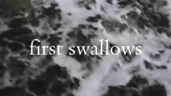 -first Swallows-