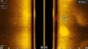 ТАКИХ ОГРОМНЫХ РЫБ В ЭХОЛОТЕ Я ЕЩЕ НЕ ВИДЕЛ! ЭТОТ СОМ МОНСТР! РАЗБОР СКРИНШОТОВ С ЭХОЛОТА LOWRANCE!