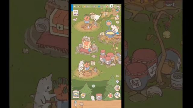 кошки и суп