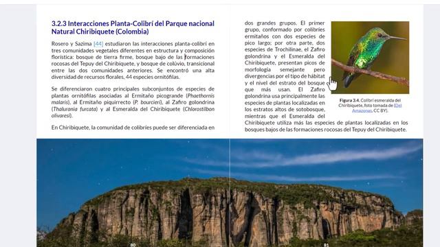 Colibríes - Libro Interactivo (Capítulo 3) смотреть онлайн