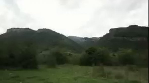 Сайпулла Алиев