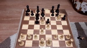 Шахматы. Секрет в дебюте. Лучшая комбинация для победы в шахматной партии. Учим и побеждаем.