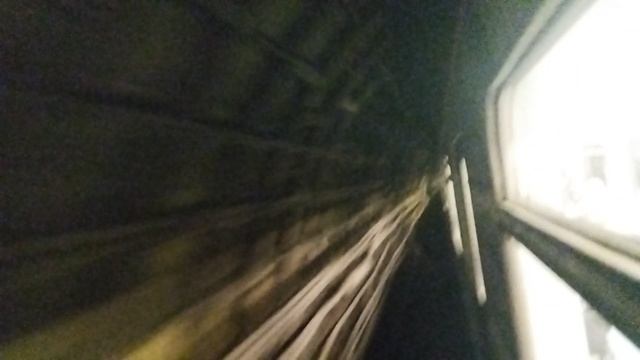 2 перегон замоскворецкой линии метро #metro #moscow #z смотреть онлайн