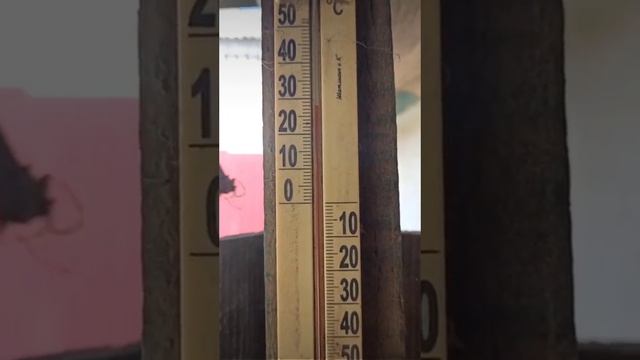 Готовлю новые апартаменты для Нормана! Он снова надумал линять. смотреть онлайн
